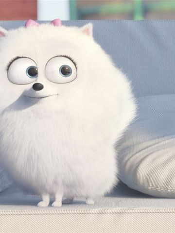 《爱宠大机密》图片电脑壁纸下载