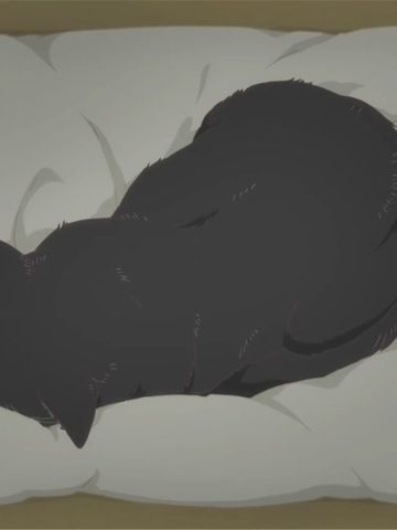 新海诚 她和她的猫 猫咪动漫电脑壁纸下载