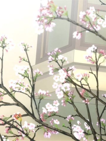 新海诚 她和她的猫唯美风景 动漫电脑壁纸下载