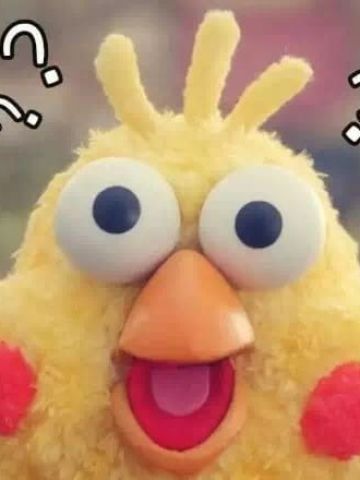 超火的鹦鹉兄弟 脆皮炸鸡鹦鹉表情包下载