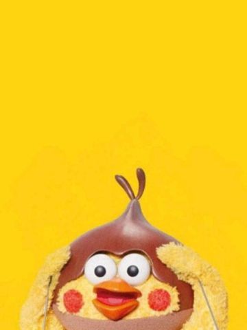 新晋网红 鹦鹉兄弟手机壁纸收集