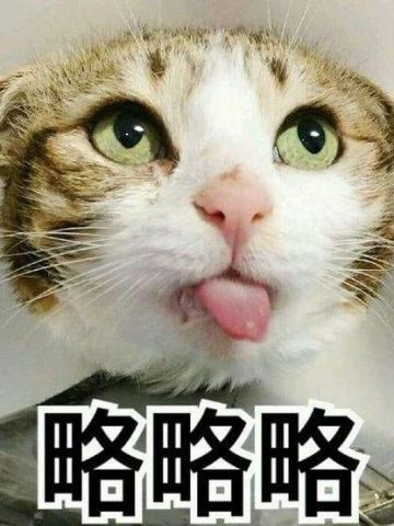 萌宠吐舌头表情包！