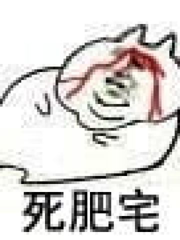 肥宅表情包 肥宅王