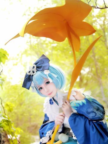 阴阳师萤草丹枫秋意