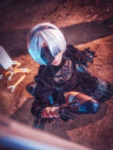 尼尔：机械纪元 2b/9s cos