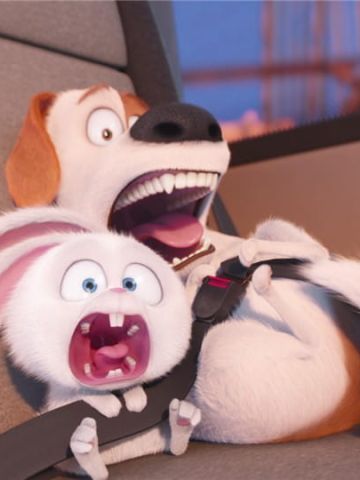 《爱宠大机密》萌化安卓主题