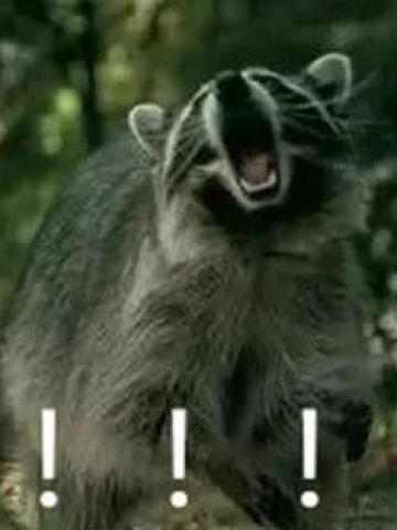 叫妈动物微信聊天表情包