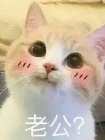 老公给我买这个 超可爱猫咪表情包