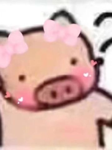 心肥意冷 可爱小猪猪表情包