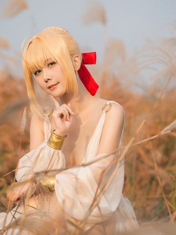 fgo 尼禄本里最后一套 cosplay图片