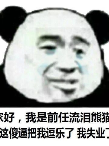 流泪熊猫头qq微信聊天表情包