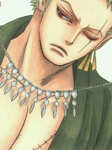 《海贼王》索隆手机主题