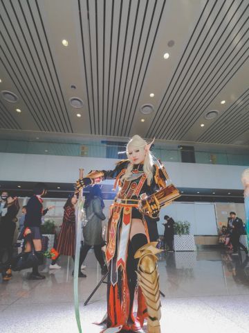 WOW 魔兽世界 血骑士莉亚德琳 cosplay