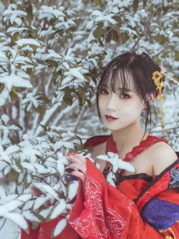 梅须逊雪三分白