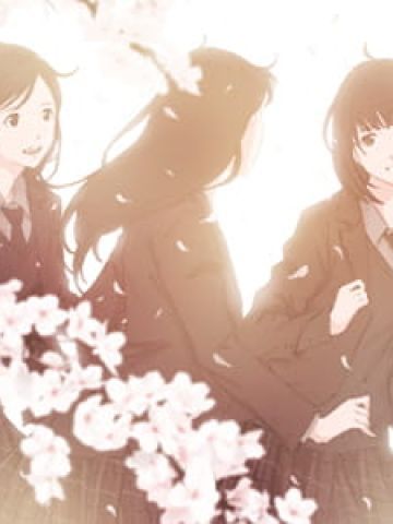 樱花特辑 动漫壁纸20180424期