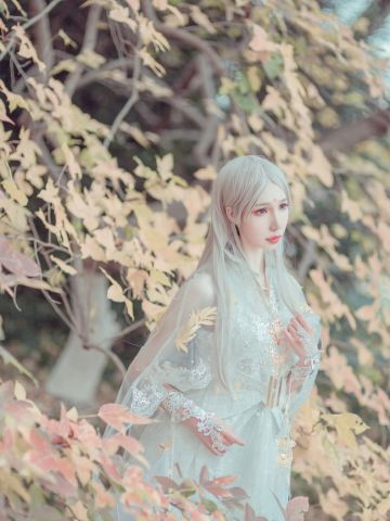 剑侠情缘网络版叁 云间金月