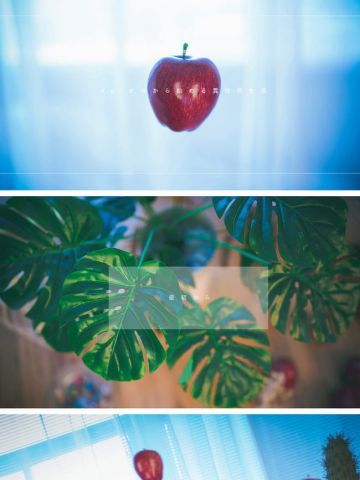 从零开始的异世界生活 拉姆蕾姆兔女郎 cosplay