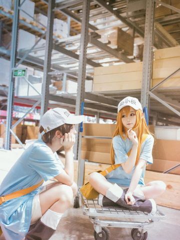 工作细胞 红血球 白血球 血小板 cosplay