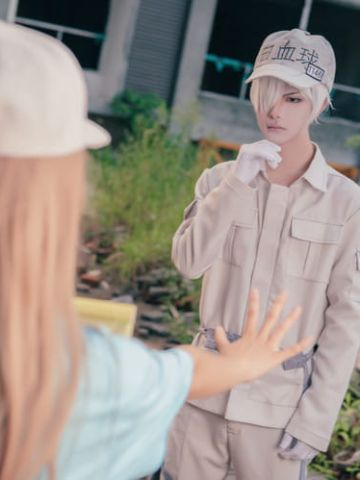 工作细胞 血小板 白细胞 cosplay