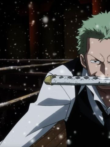 《海贼王》索隆帅气手机主题