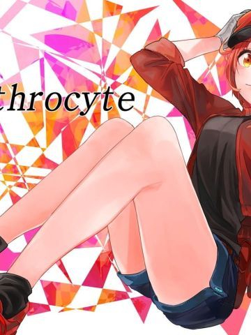 《工作细胞》红血球赛高手机主题