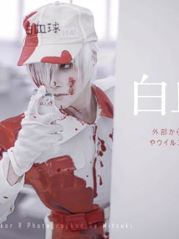 工作细胞 白血球 cosplay