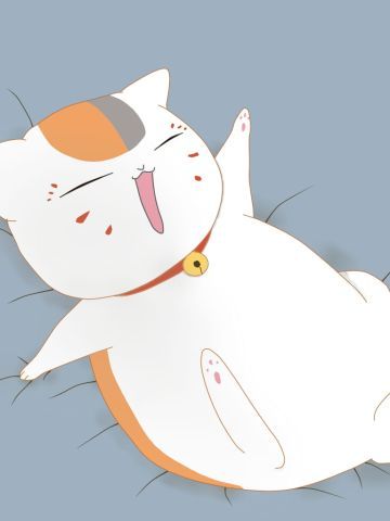 干了这杯小酒 猫咪老师手机主题