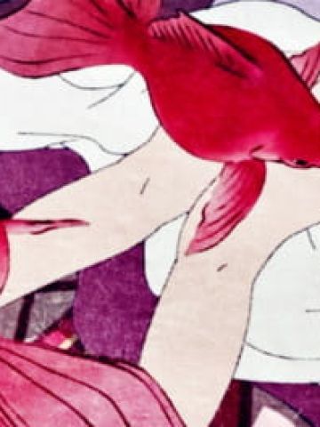 心念所囚即为牢笼,心念所驻即为城池.怪化猫电脑壁纸