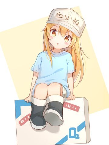 万物皆可萌 血小板手机主题