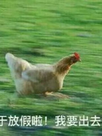 放假啦！！ 放假表情包