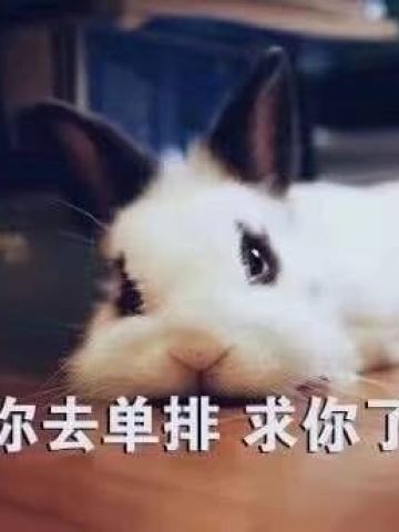 开启死亡带妹模式--沙雕表情系列