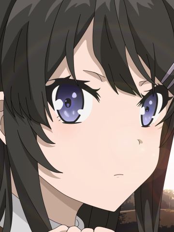 青春期笨蛋不做兔女郎学姐手机壁纸