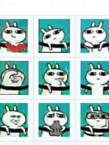 无节操神奇的兔子 QQ表情