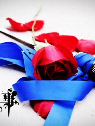 夏尔·凡多姆海恩 cos