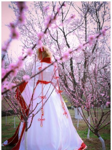 【COS】翼年代记-樱