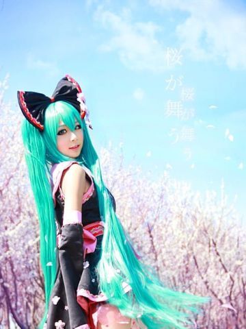 【COS】MIKU-樱花飞舞