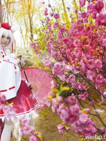 【COS】东方风神录=== 犬走椛