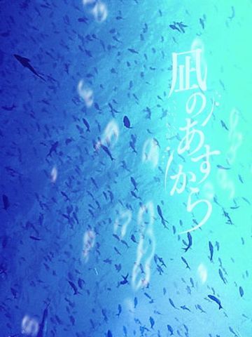 【COS】风平浪静的明天 向井户爱花 水下摄影