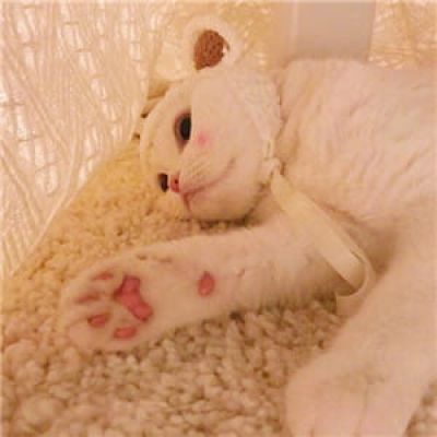 天干物燥 小心她闹 动漫qq情侣头像