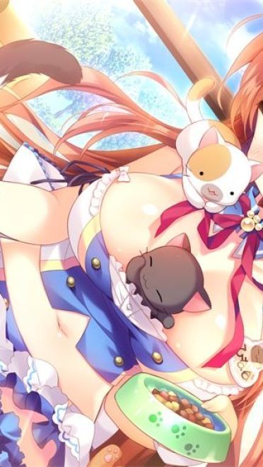 听说猫咪和少女最配哦 电脑桌面壁纸