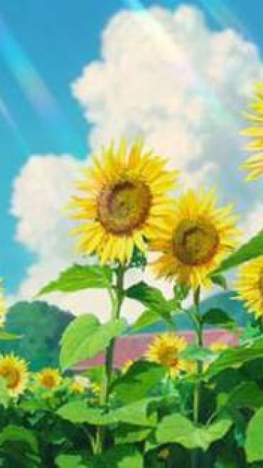 大师之作！宫崎骏所有作品里的美景第三期