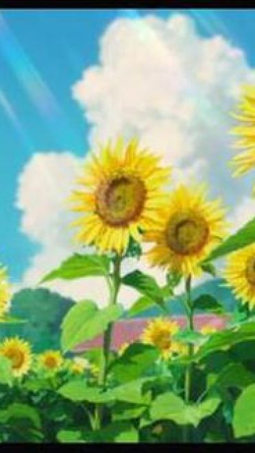 大师之作！宫崎骏所有作品里的美景第三期