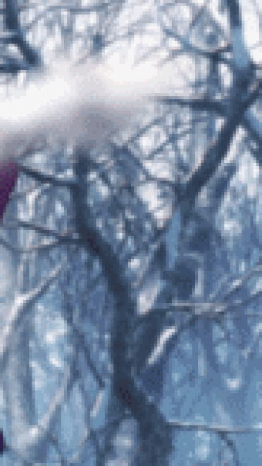 魔法少女伊莉雅 动态表情包下载