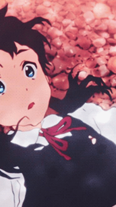 玉子市场 萌萌的玉子动态表情包