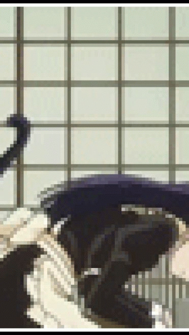 黑猫五更琉璃 动态表情包下载