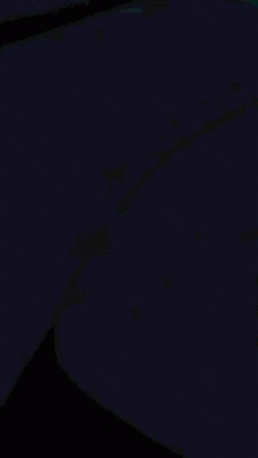 来点银魂洗洗脑  GIF表情包