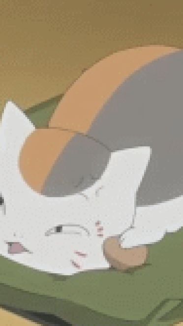 圆鼓鼓 肥嘟嘟 夏目友人帐猫咪老师GIF表情包