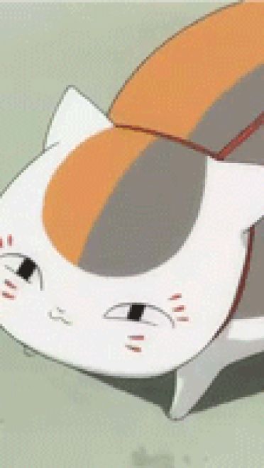 圆鼓鼓 肥嘟嘟 夏目友人帐猫咪老师GIF表情包