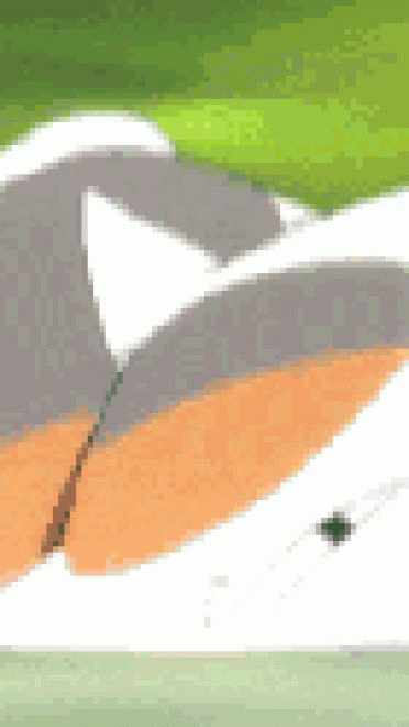 圆鼓鼓 肥嘟嘟 夏目友人帐猫咪老师GIF表情包