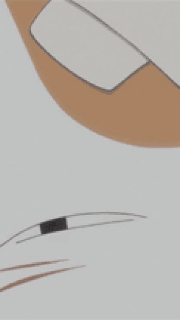 圆鼓鼓 肥嘟嘟 夏目友人帐猫咪老师GIF表情包